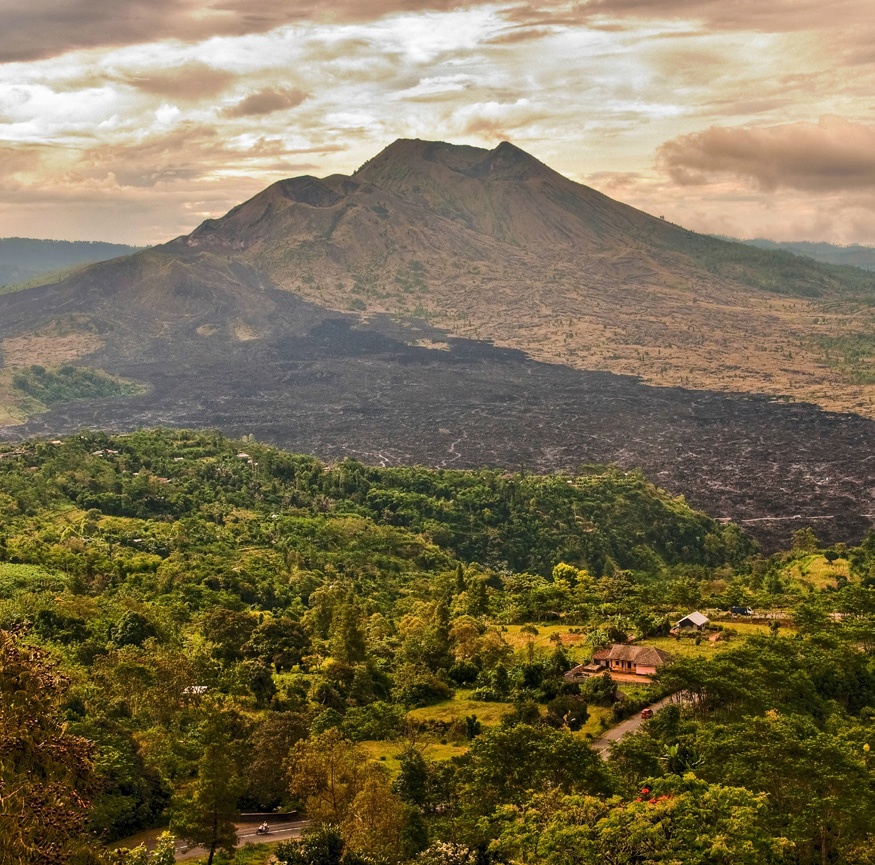 Bali Blue and Ethiopia Yirgacheffe Are Back!