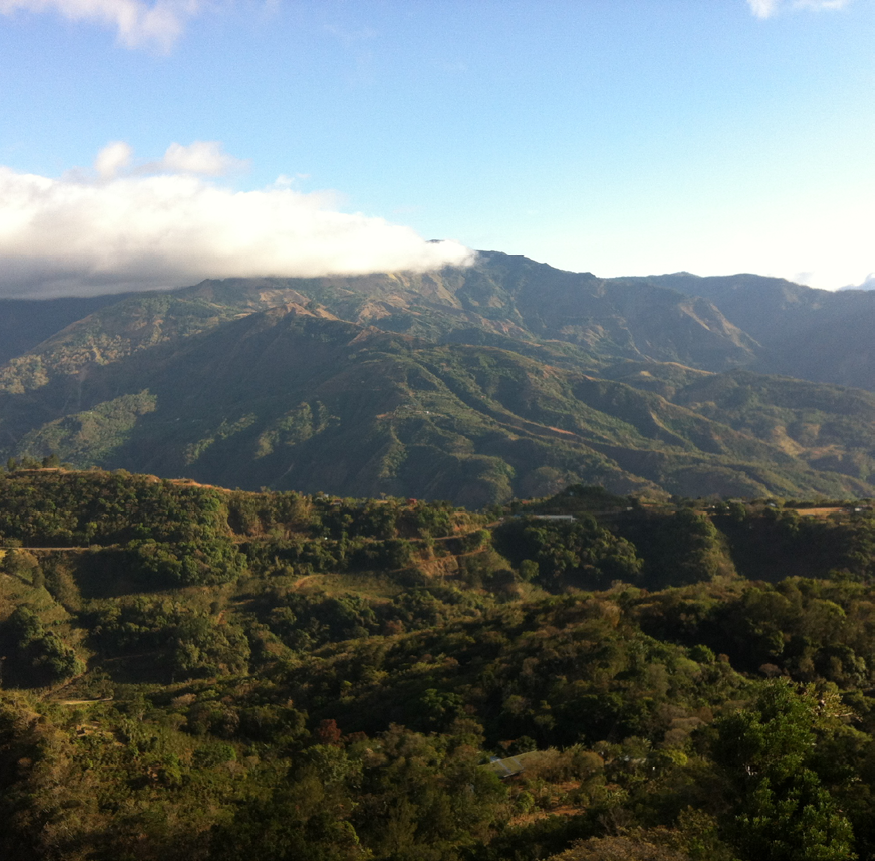 New Costa Rican Coffee and more!