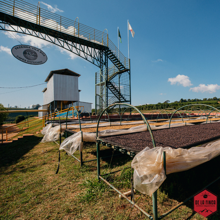 Brazil Fazenda Vila Boa Anaerobic Natural