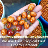 Colombia Huila Elkin Guzman Carbonic Maceration