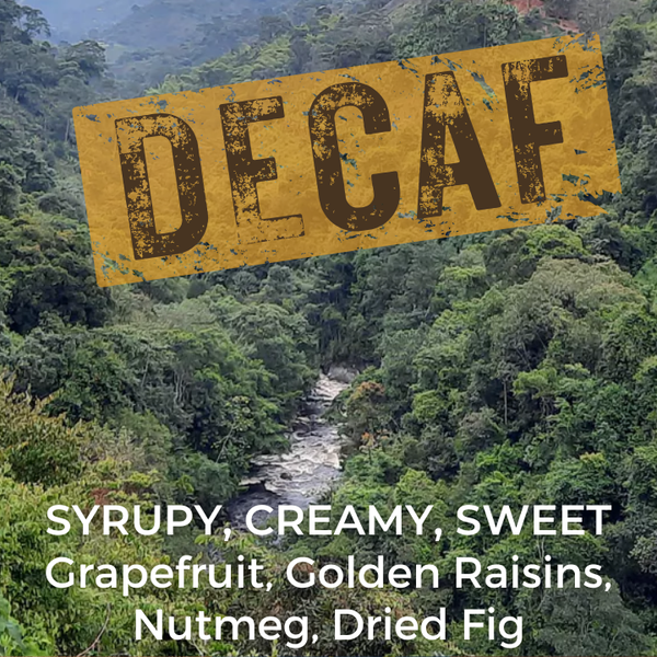 Colombia Honey Decaf – The Captain's Coffee