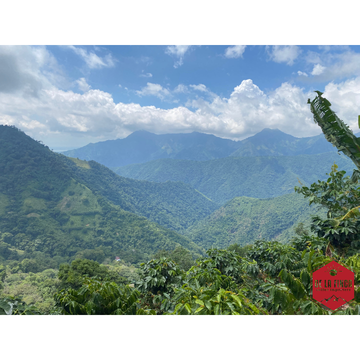 Colombia Sierra Nevada Finca La Esperanza