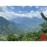 Colombia Sierra Nevada Finca La Esperanza