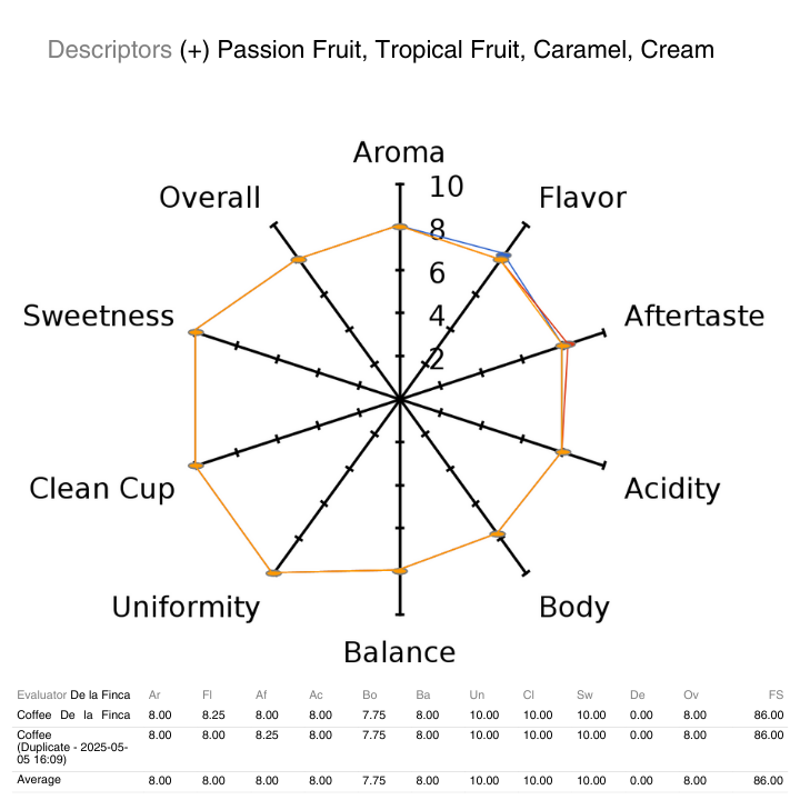 The Captain's Coffee
