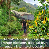 Colombia Finca El Marchito 120 Hour Anaerobic Washed