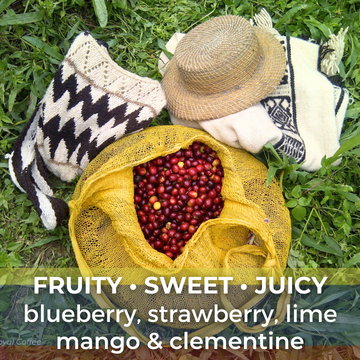 Colombia Nasa Wesx Yuppie Natural