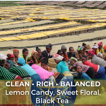 Ethiopia Washed YirgZ