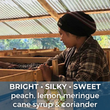 Guatemala Finca Los Conejos Hot Anaerobic