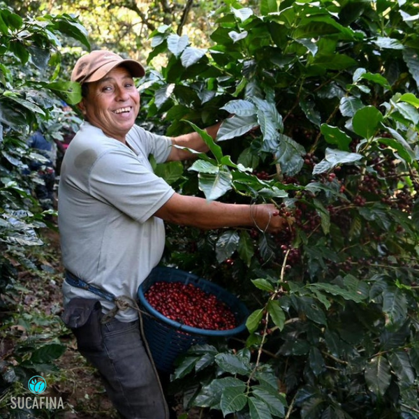 Guatemala_Huehuetenango_Buenos