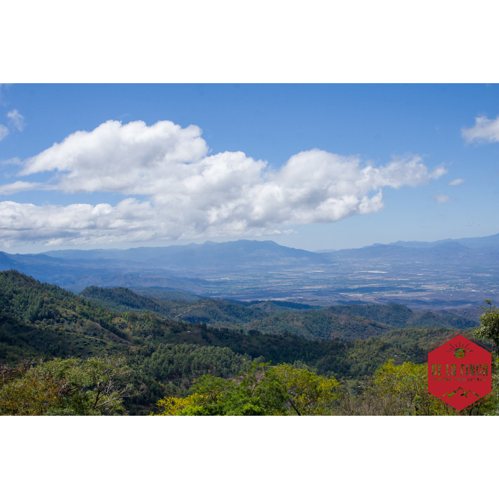 Honduras Finca La Esmeralda 72 Hour Anaerobic Natural Organic