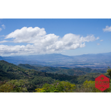 Honduras Finca La Esmeralda 72 Hour Anaerobic Natural Organic