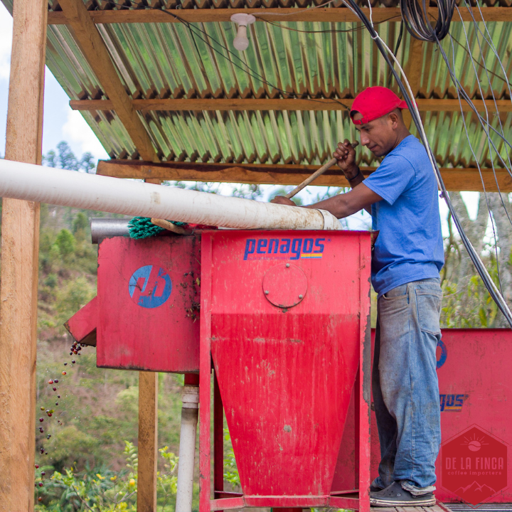 Honduras Finca La Esmeralda 72 Hour Anaerobic Natural Organic