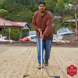 Honduras Finca La Esmeralda 72 Hour Anaerobic Natural Organic