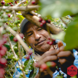 Honduras Finca La Esmeralda 72 Hour Anaerobic Natural Organic