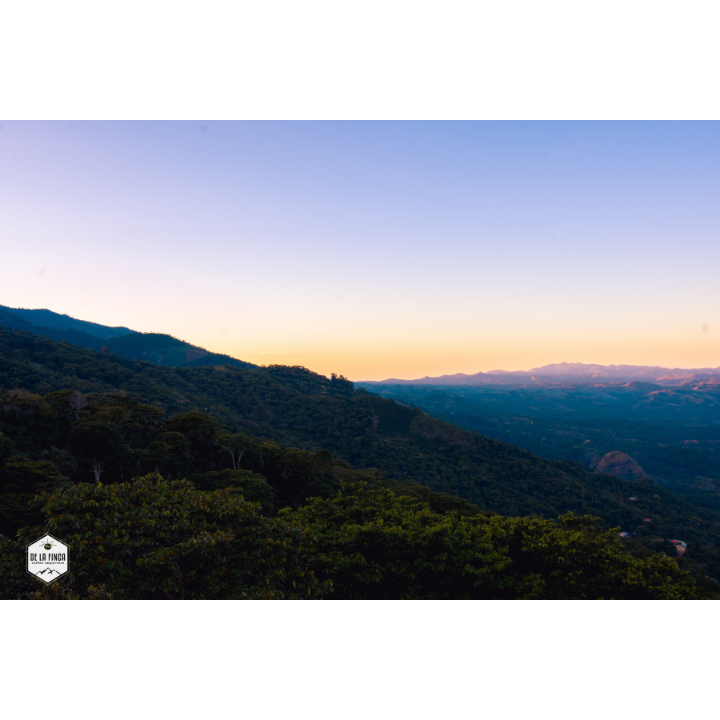 Honduras Comayagua Santa Lucia Reserve Organic