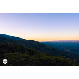 Honduras Comayagua Santa Lucia Reserve Organic