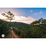 Honduras Comayagua Santa Lucia Reserve Organic