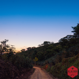 Honduras Comayagua Santa Lucia Reserve Organic