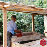 Honduras Comayagua Santa Lucia Reserve Organic