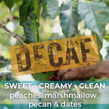 Honduras Marcala DLF Honey Decaf Organic