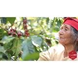 Honduras Marcala DLF Honey Decaf Organic