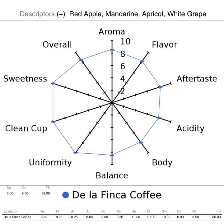The Captain's Coffee