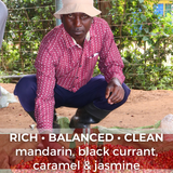 Kenya Kirinyaga Kariaini AA