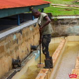 Kenya Kirinyaga Kariaini AA