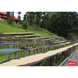 Kenya Kirinyaga Kariaini AA