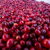 Colombia Huila Elkin Guzman Carbonic Maceration