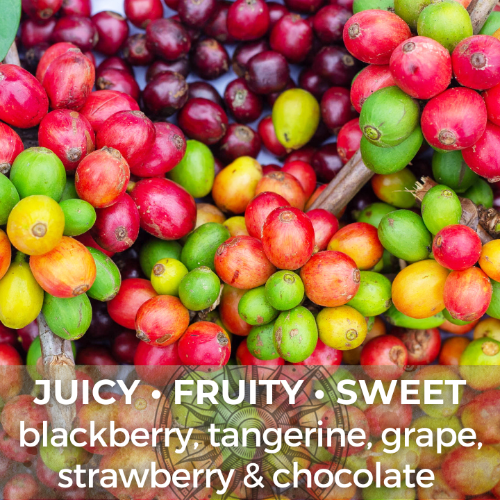 Fruit BOMB Blend