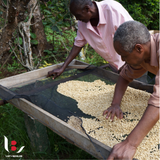 Tanzania Nyasi Furaha Peaberry