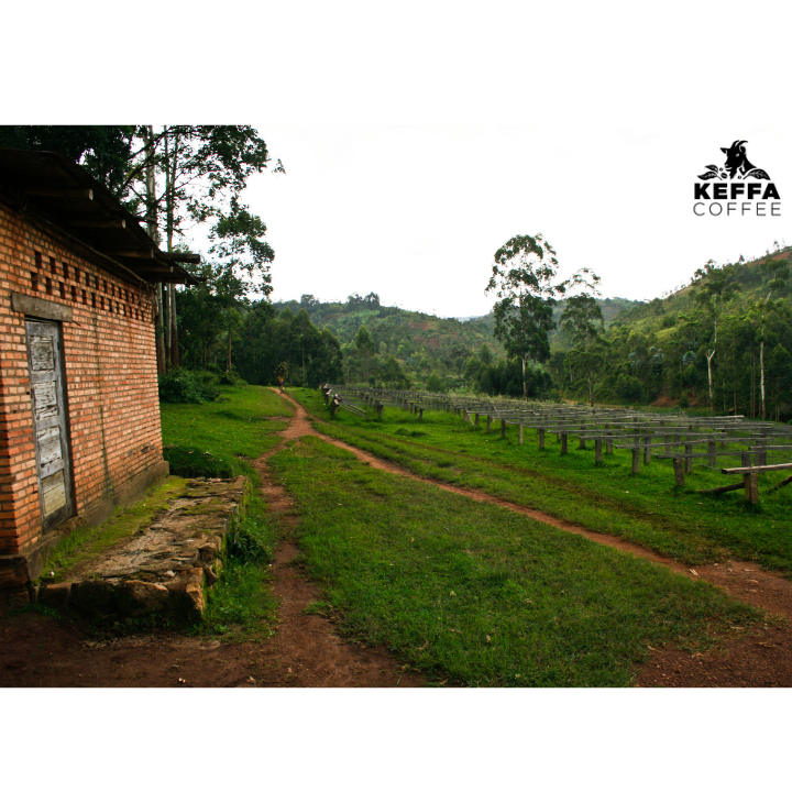Burundi Kayanza Masha Anaerobic Natural