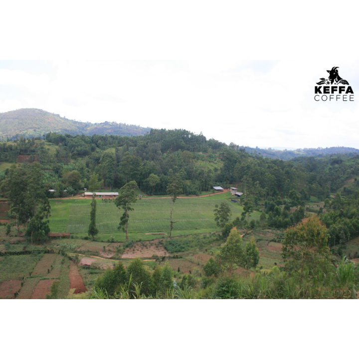 Burundi Kayanza Masha Anaerobic Natural