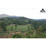 Burundi Kayanza Masha Anaerobic Natural