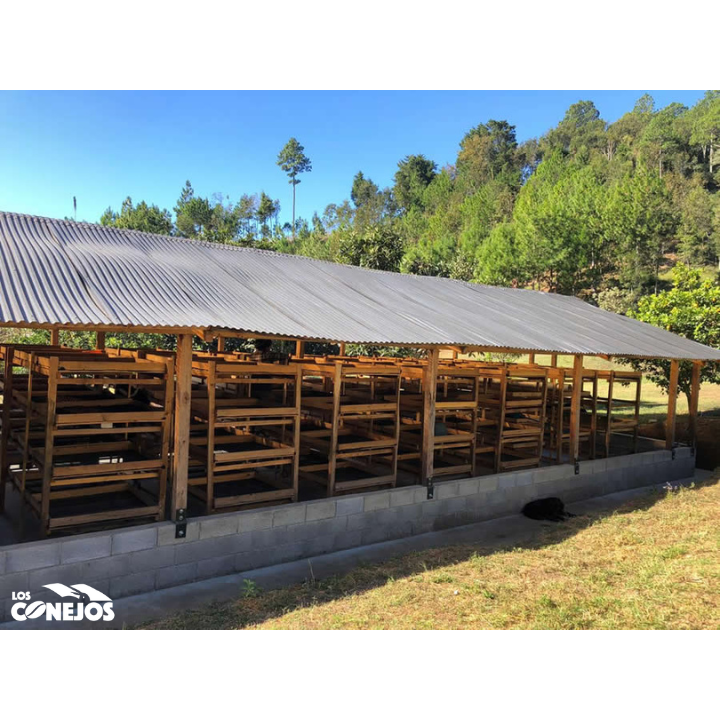 Guatemala Finca Los Conejos Hot Anaerobic
