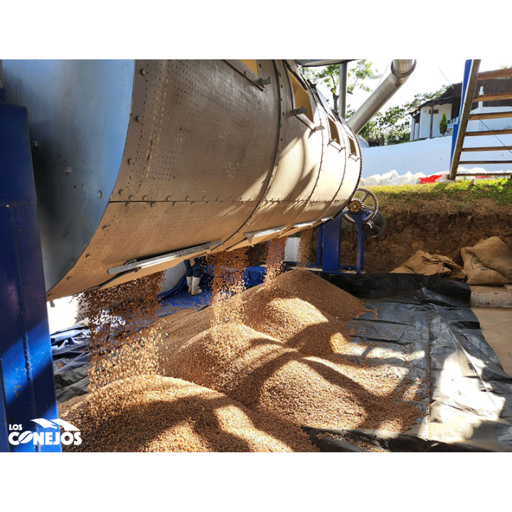 Guatemala Finca Los Conejos Hot Anaerobic