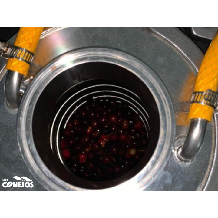 Guatemala Finca Los Conejos Hot Anaerobic