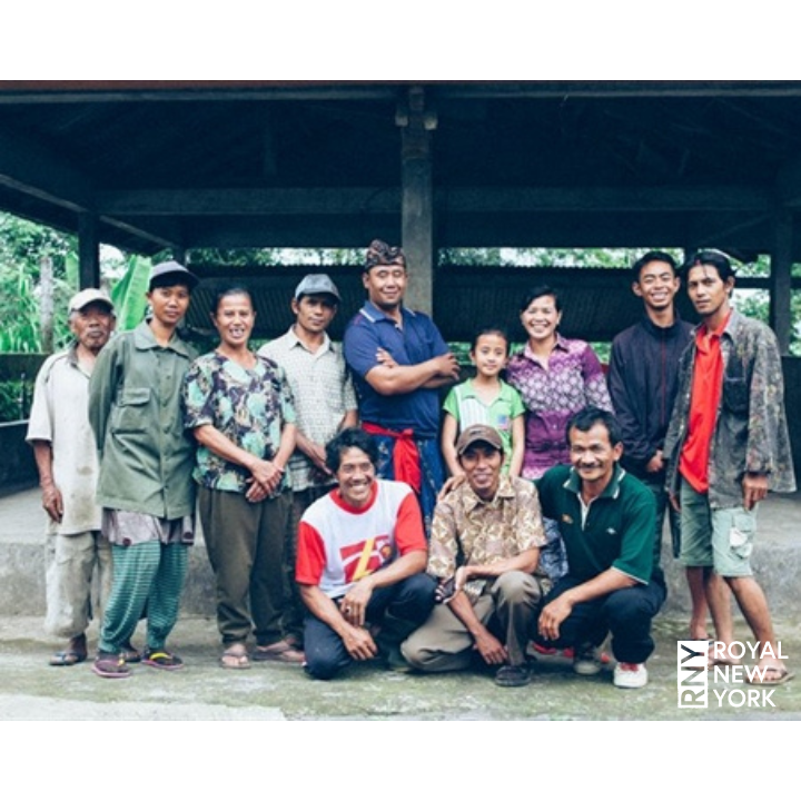 Bali Kintamani Natural Organic