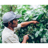Bali Kintamani Natural Organic