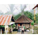 Bali Kintamani Natural Organic