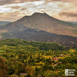 Bali Kintamani Natural Organic