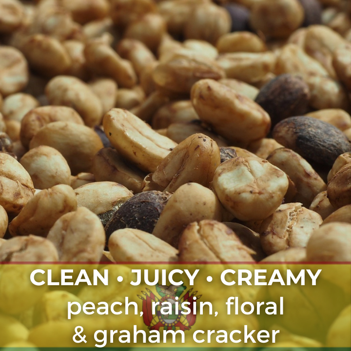 Bolivia Irupana Grober Mamani Honey Organic