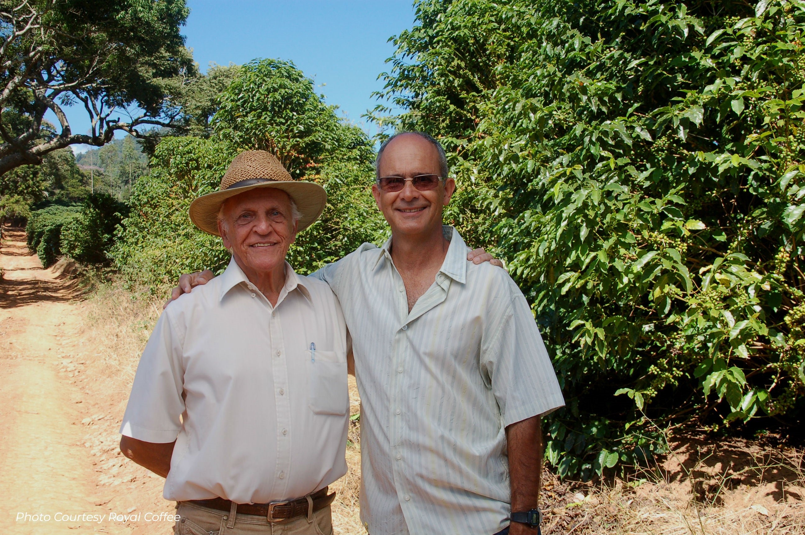 Brazil Serra das Três Barras Red Catuai