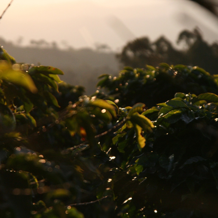 Brazil FAF Caconde Serra Do Cigano