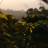 Brazil FAF Caconde Serra Do Cigano