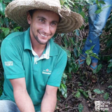 Brazil Sitio Mortadella Yellow Catuai Natural
