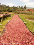 Burundi Ngozi Bavyeyi Natural