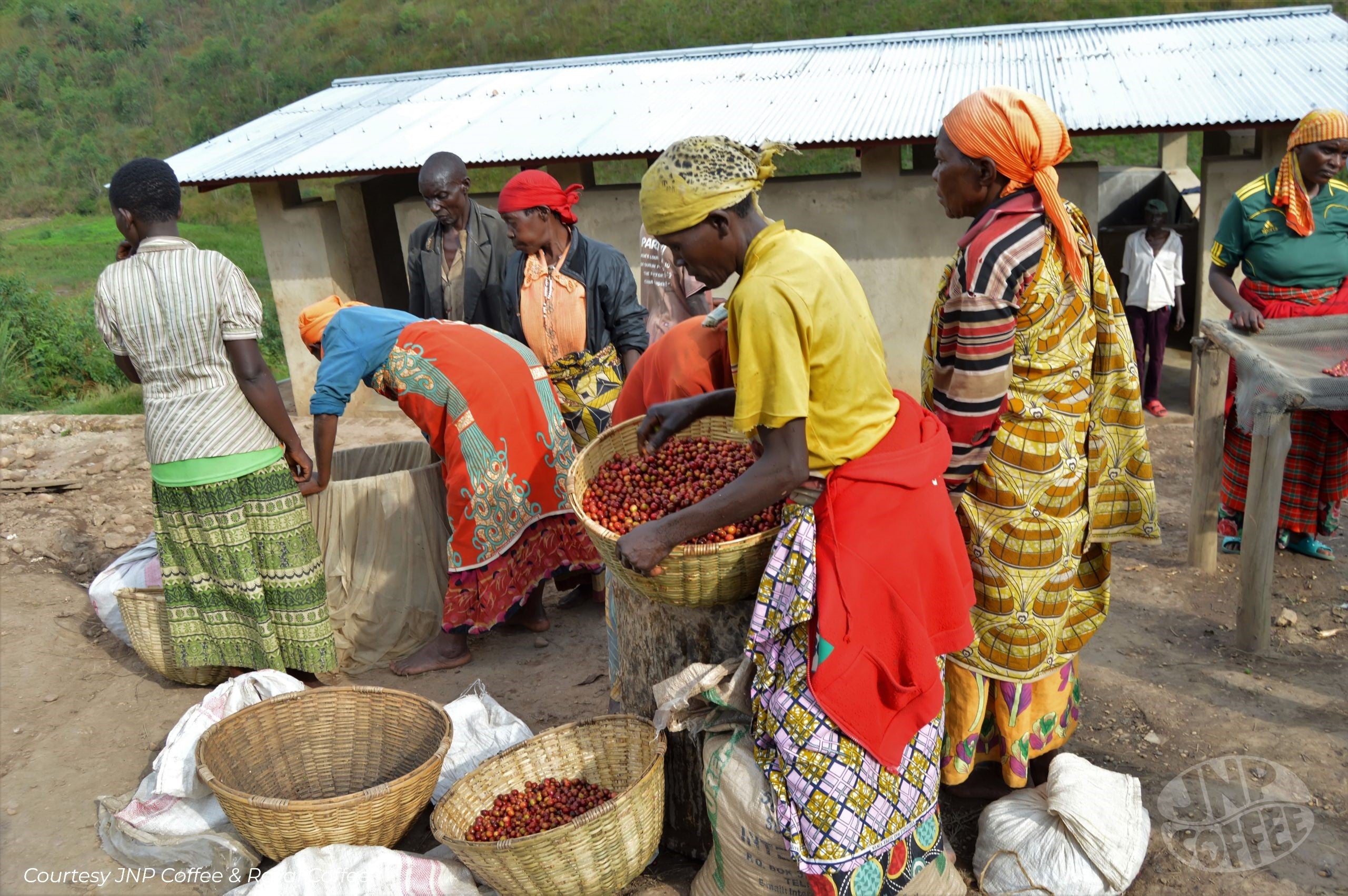 Burundi Ngozi Turihamwe