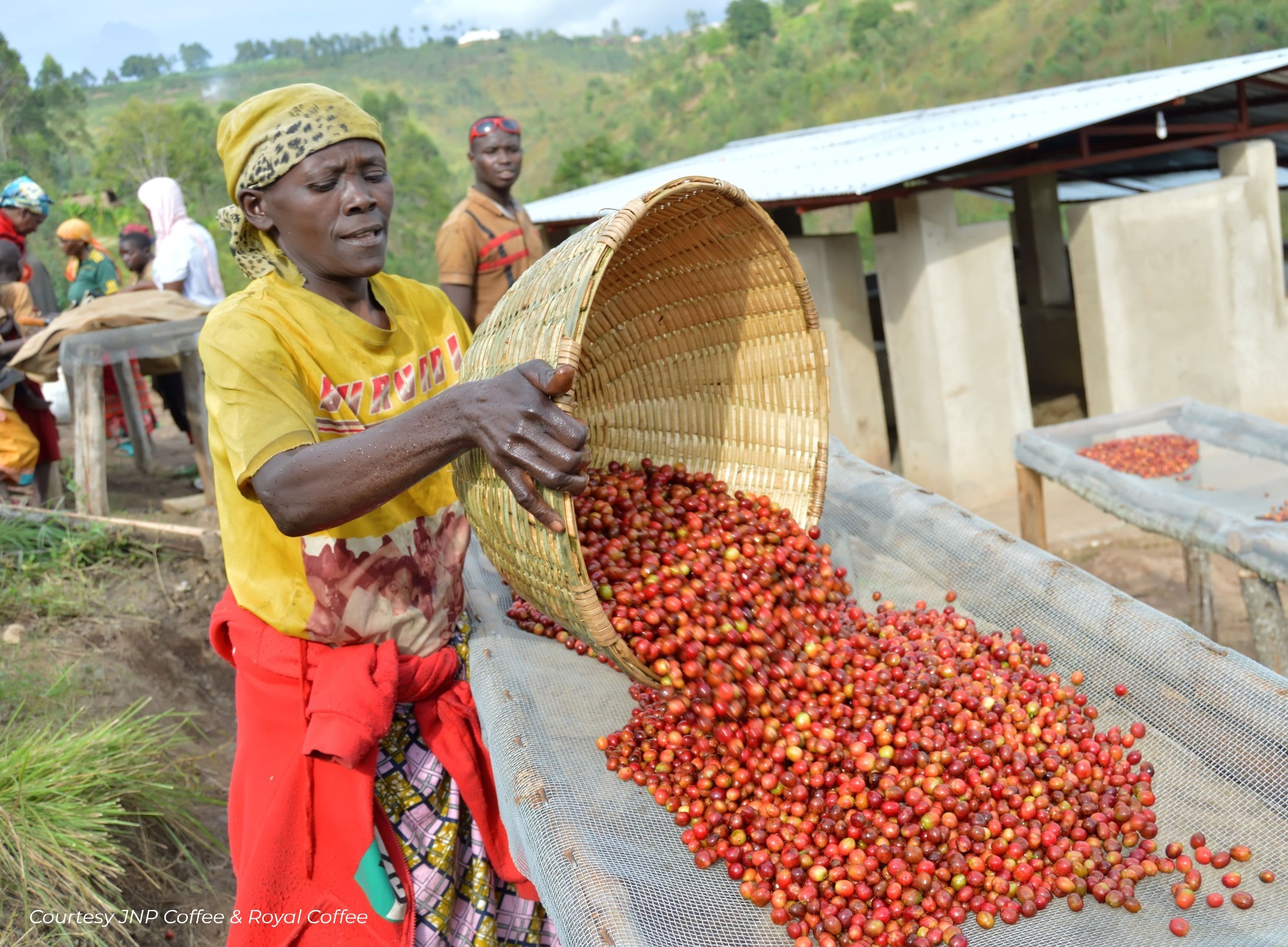 Burundi Ngozi Turihamwe